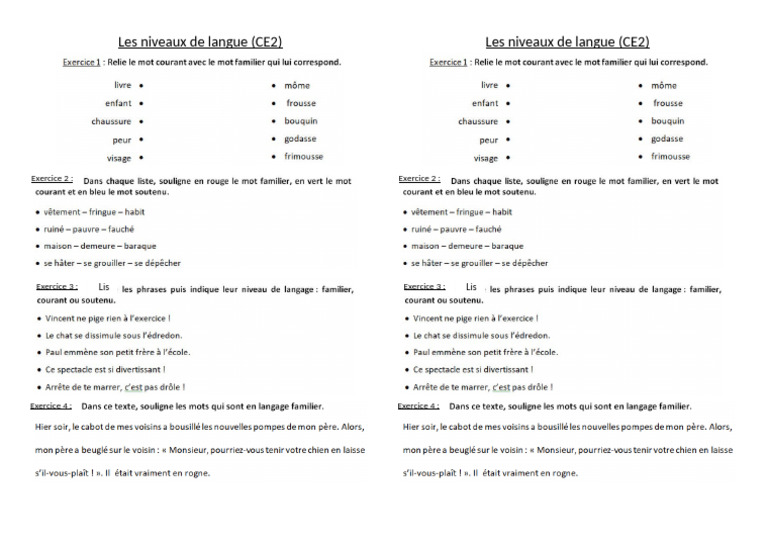 Niveaux de langue CE2 : Exercices pratiques | PDF