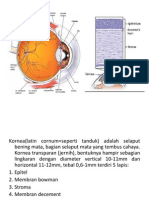 KERATITIS