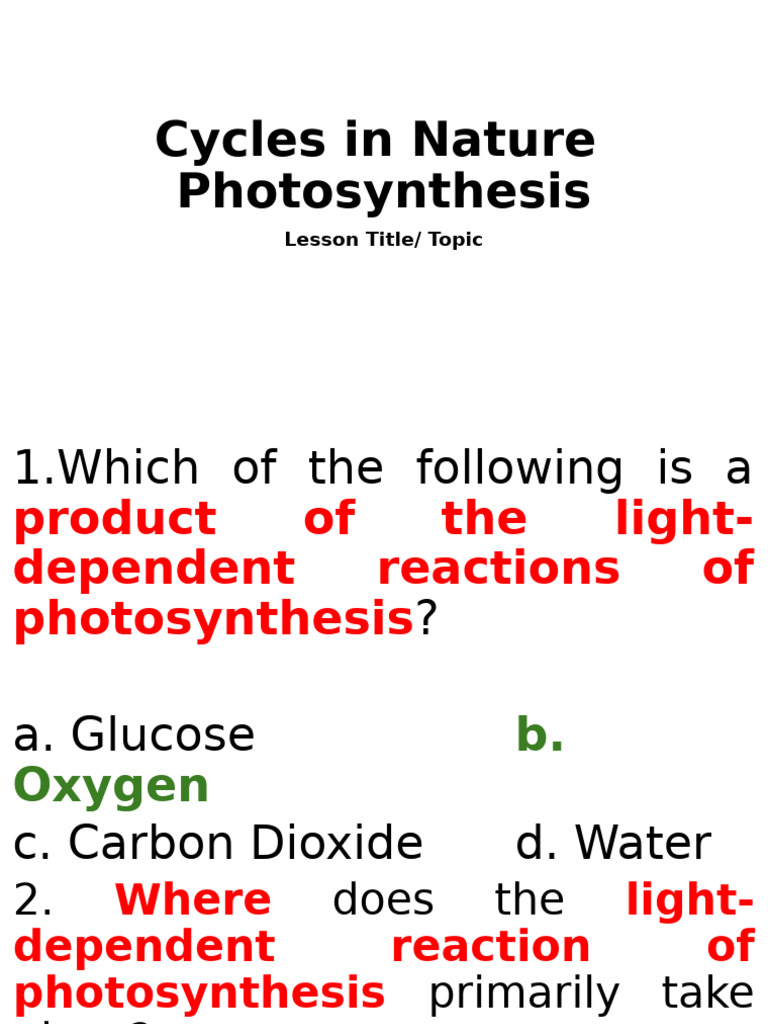 Understanding Photosynthesis Basics | PDF | Photosynthesis | Adenosine ...