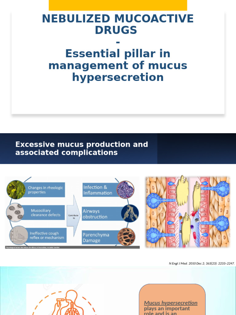 Nebulized Mucoactive Drugs for Mucus Management | PDF | Respiratory ...