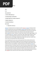 Download Berbagai Jenis Tanaman Lanskap by Heri Gunawan SN91693743 doc pdf