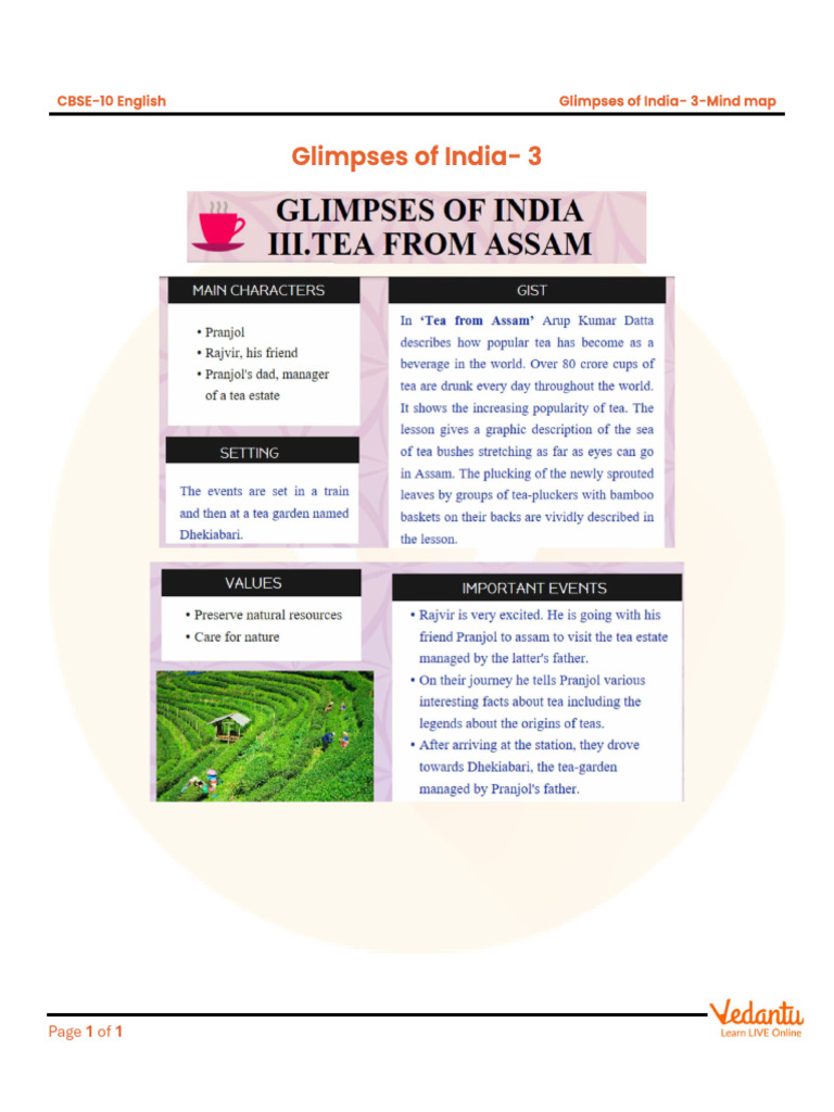 Glimpses of India 3 Mindmap | PDF
