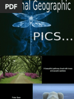 Download National Geographic Pics by Mohammed Abbas SN91695 doc pdf