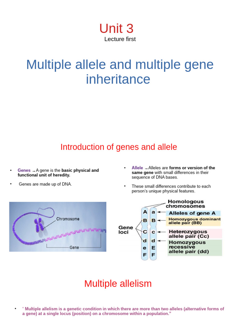 Multiple Alleles and ABO Blood Groups | PDF | Allele | Gene