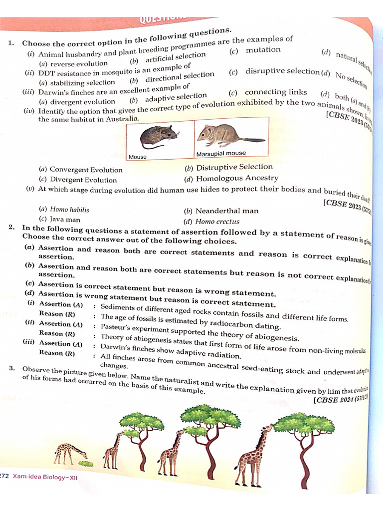 Assignment Evolution | PDF