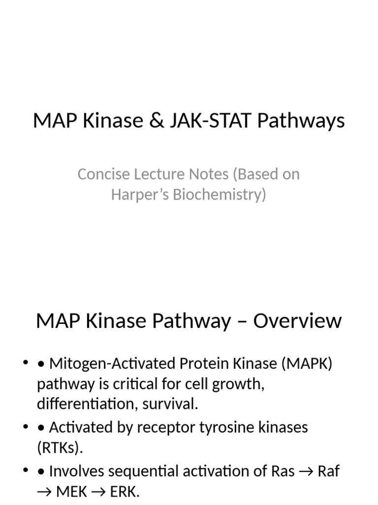 Mapk Jak Stat Pathways | PDF