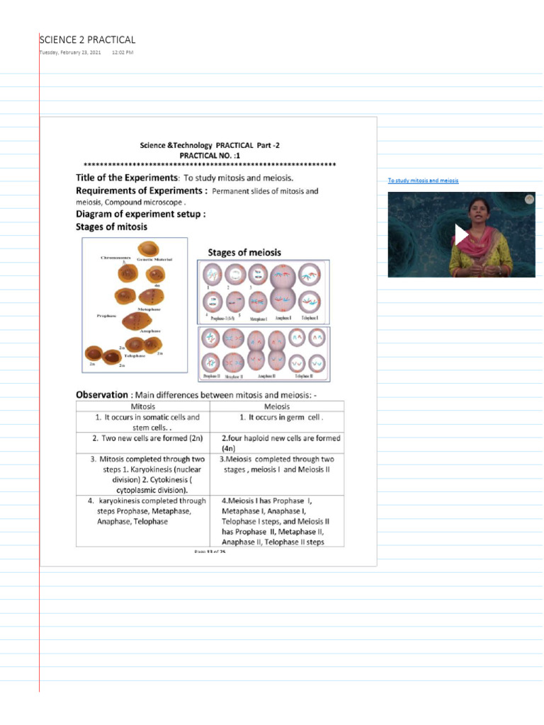 STDX Science B Practical Notes of Observations | PDF