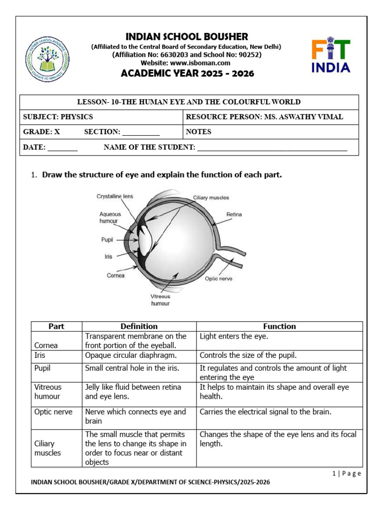 Human Eye and Light Phenomena | PDF | Rainbow | Refraction