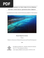 Download Rapid Assessment of the Uvero-Punta Piedras Section Costa Maya Quintana Roo Mexico by Daniel Ponce-Taylor SN9170175 doc pdf
