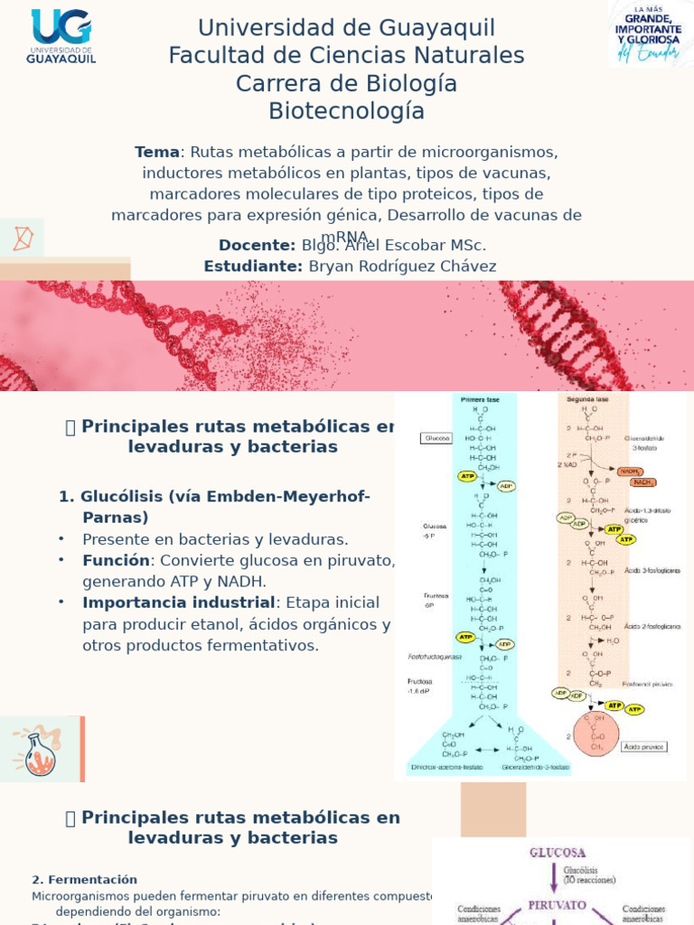 Evolutionary Biology - Bachelor of Science in Biological Sciences by ...