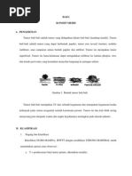 Download Lp Tumor Buli-buli by siti_sari_2 SN91704308 doc pdf