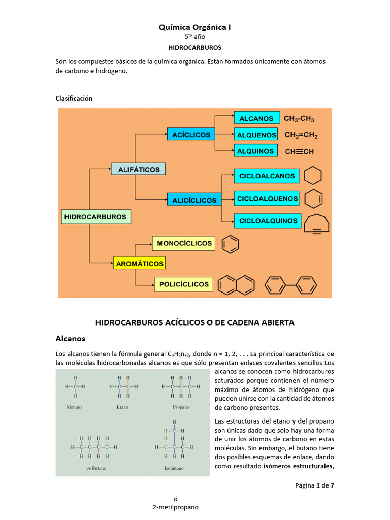 Hidrocarburos: Alcanos, Alquenos y Alquinos | PDF | Alqueno | Alcano