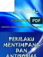 Tugas Remidial Sosiologi (Andhika Eka h.) Xg