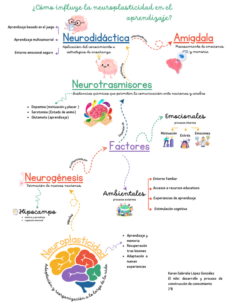 Neuro | PDF | Aprendizaje | Las emociones