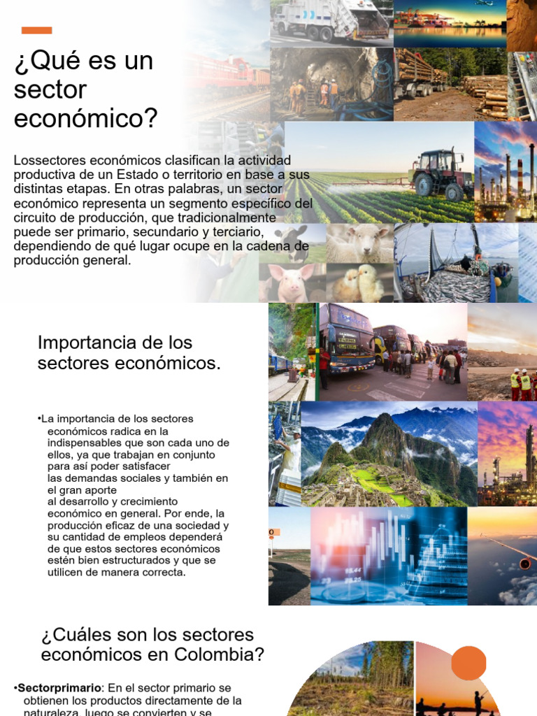 Sectores económicos: primario, secundario, terciario | PDF | Sector ...