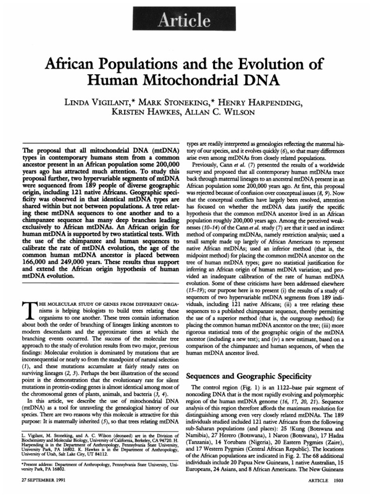 African Origin of Human mtDNA Evolution | PDF | Mitochondrial Dna ...
