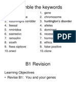 B1 Revision