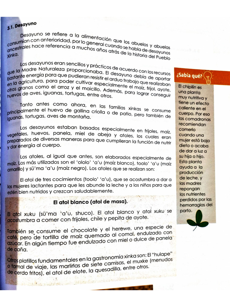 Documento 25 | PDF