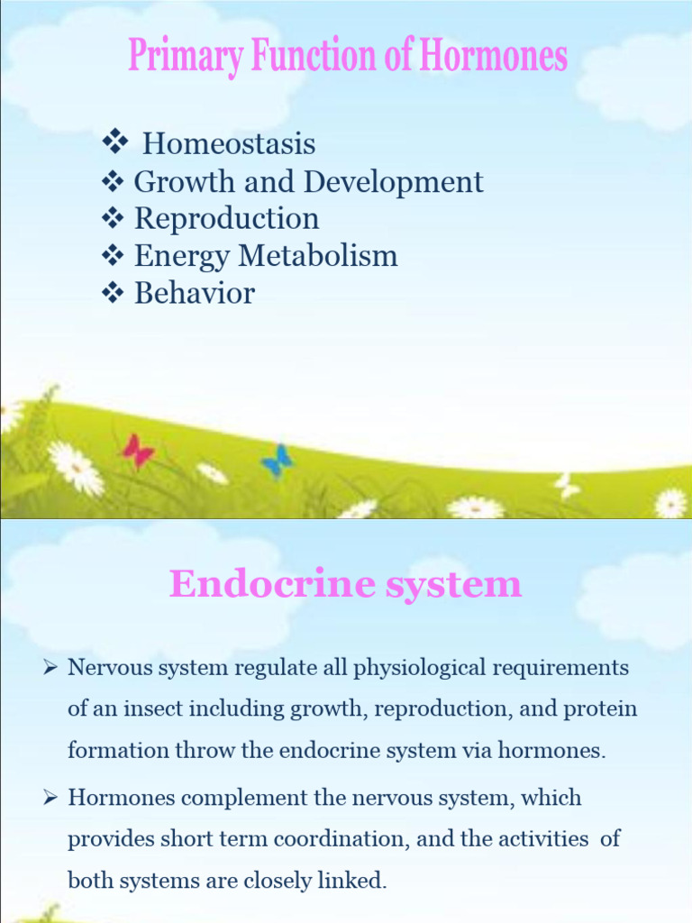Insect Endocrine System Overview | PDF | Hormone | Pupa