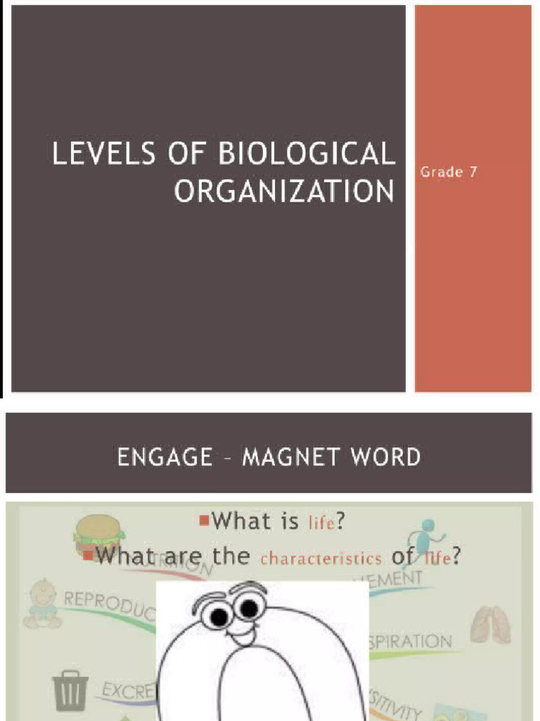 Life Organizartion | PDF