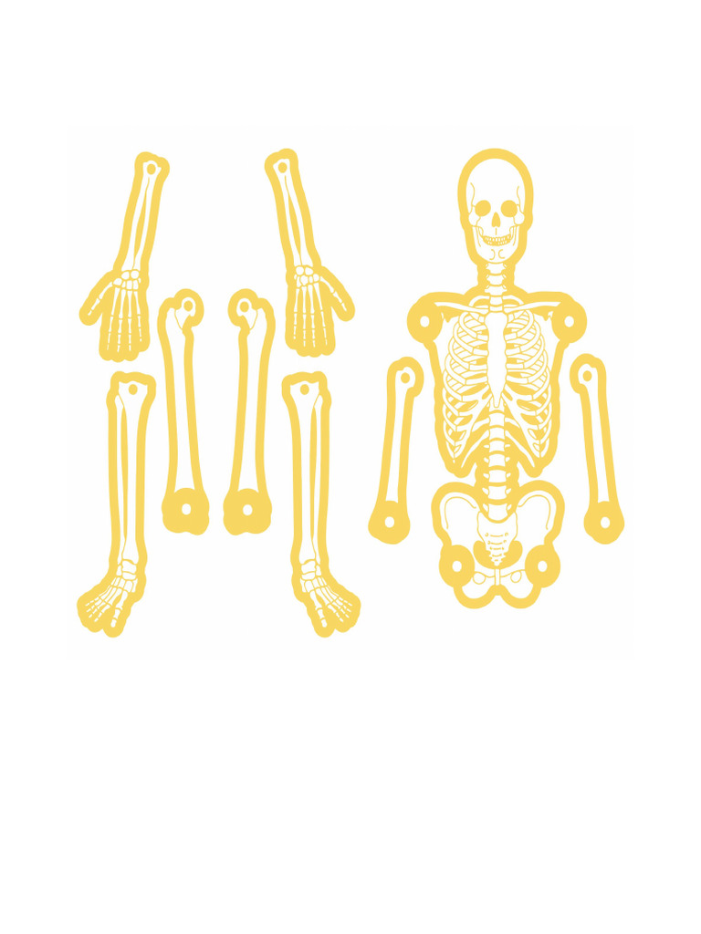 Large Printable Skeleton Template - JPG | PDF