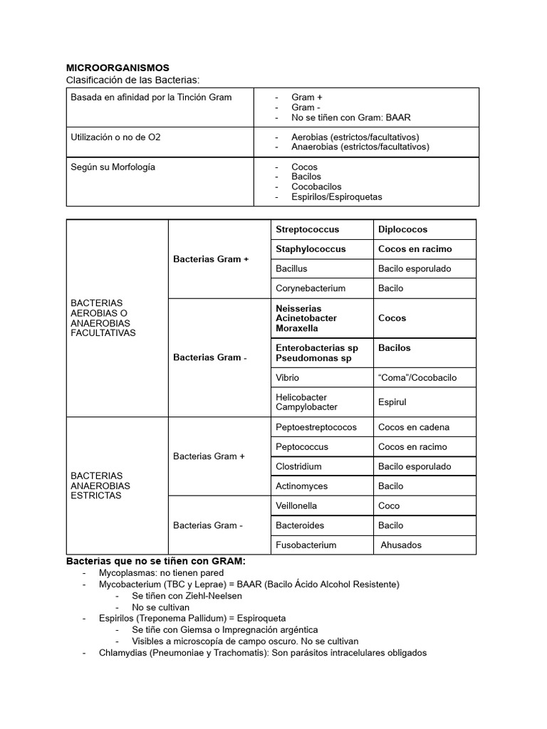 Clasificación de Bacterias: Gram y Morfología | PDF | Las bacterias ...