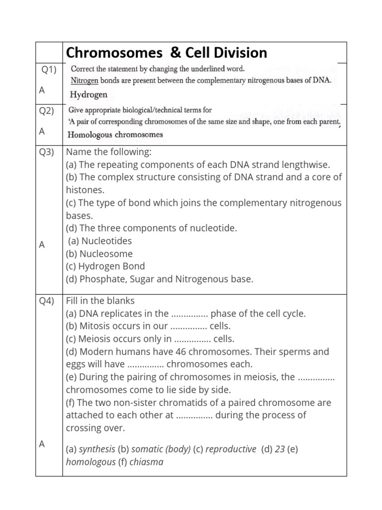 Chromosomes and Cell Division Explained | PDF | Mitosis | Meiosis