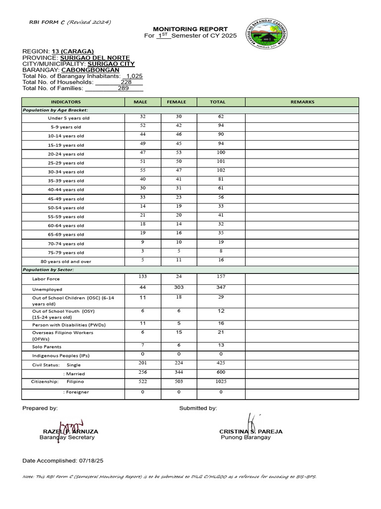 Rbi Brgy Cabongbongan 1st Sem 2025 | PDF | Employment | Philippines