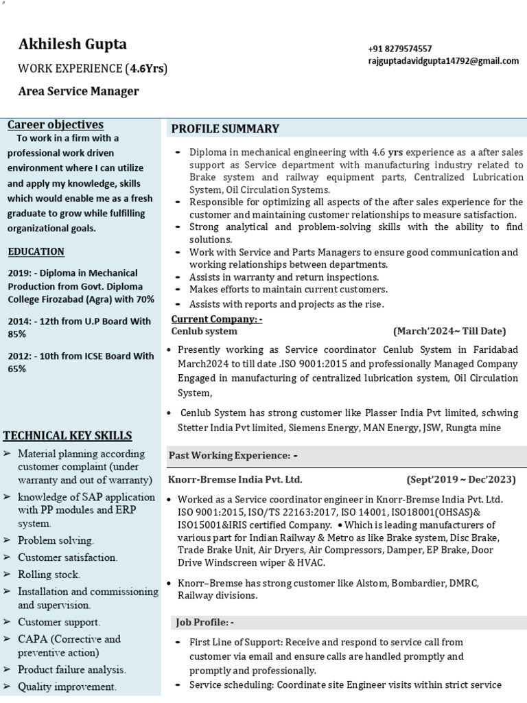 Area Service Manager Resume Summary | PDF