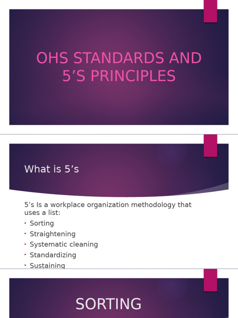 OHS Standards: 5S Principles Explained | PDF
