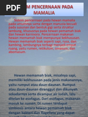 1000+ Gambar Struktur Lambung Hewan Ruminansia Terbaik