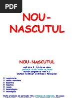 Nou Nascutul