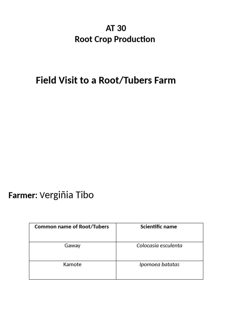 Gaway Root Crop Farming Guide | PDF