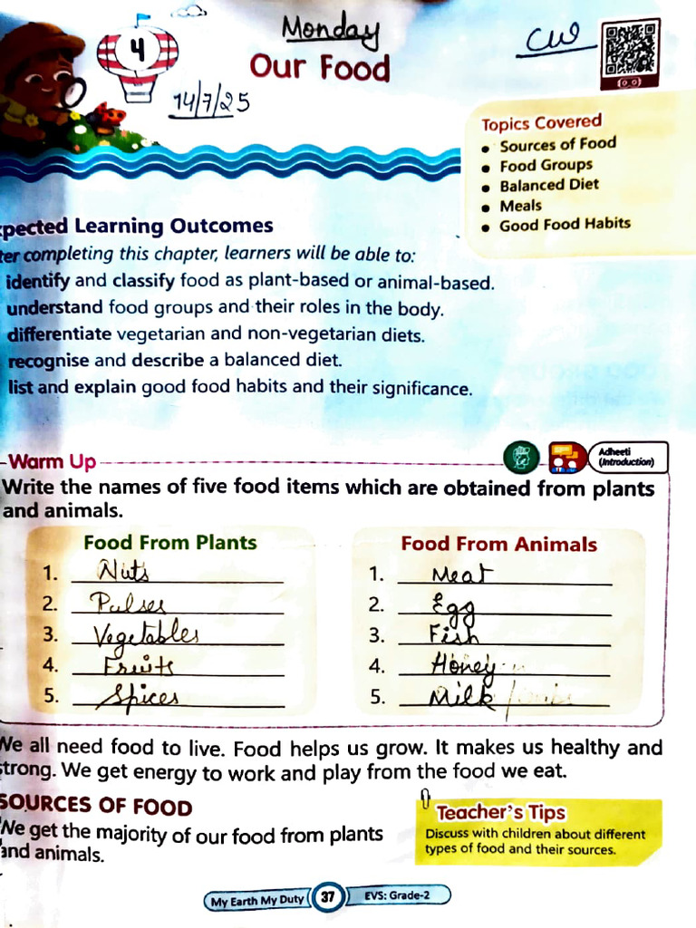 Evs Book All Work Half Yearly Pdf Pdf