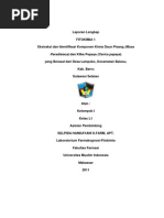 Download Laporan Lengkap Fitokimia Kel I by Wahyu Da Pharmacist SN91719631 doc pdf