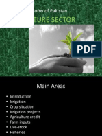 Economy of Pakistan: Agriculture Sector