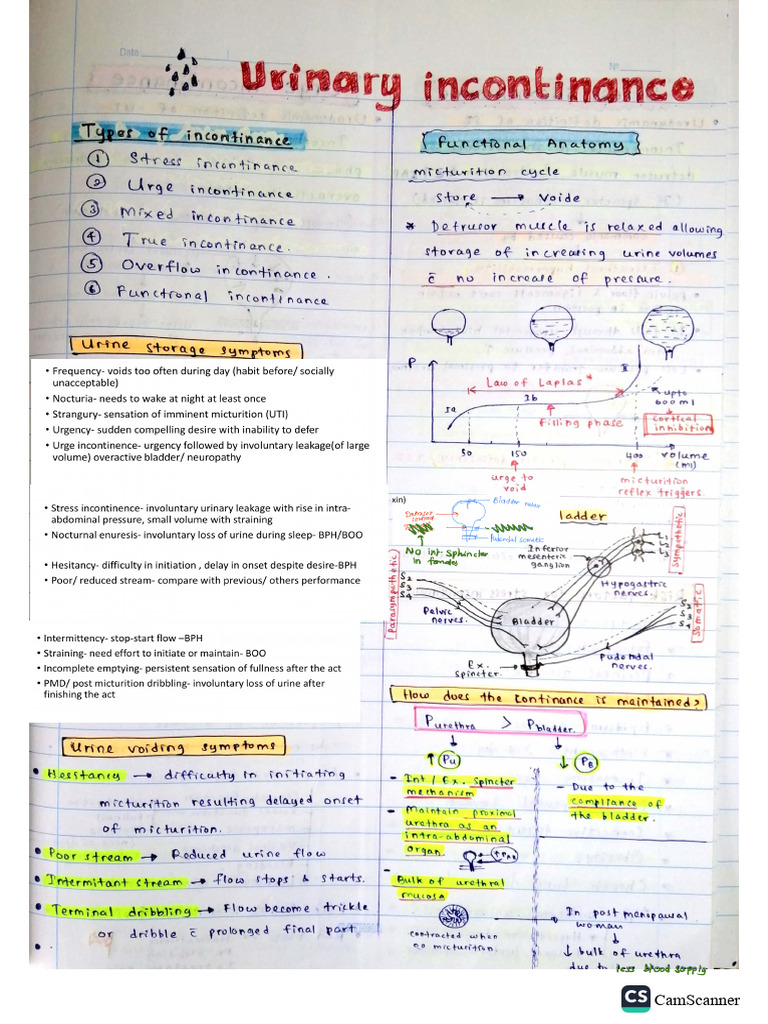 Urinary Incontinence | PDF