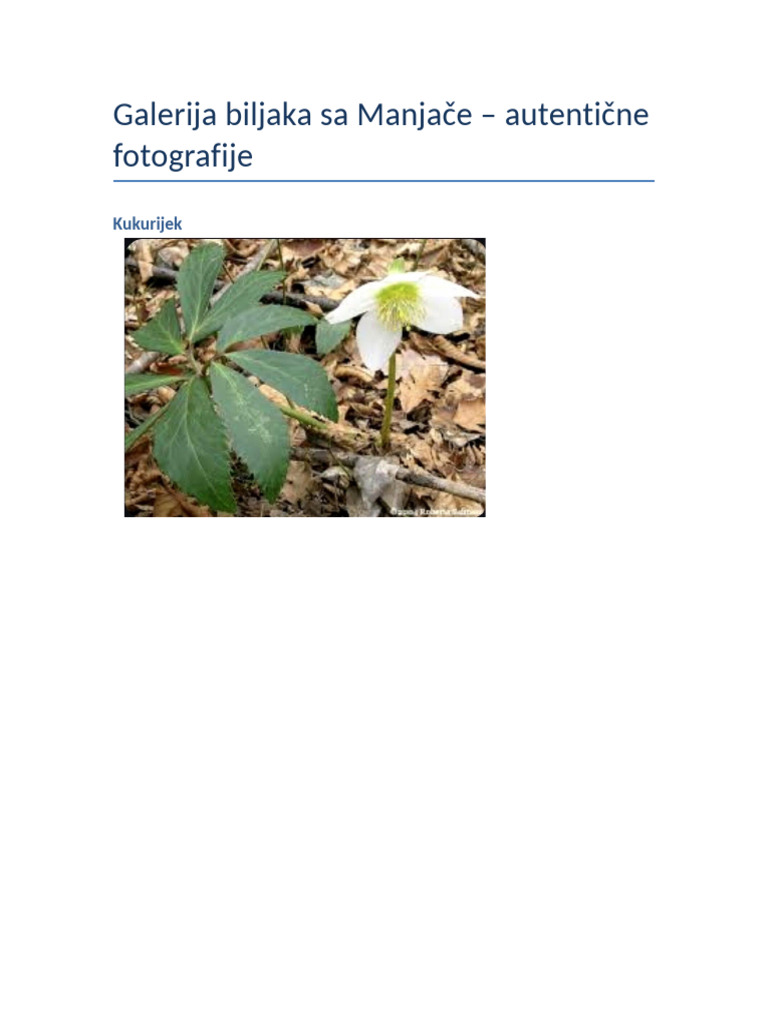 Biljke Manjaca Fotografije | PDF