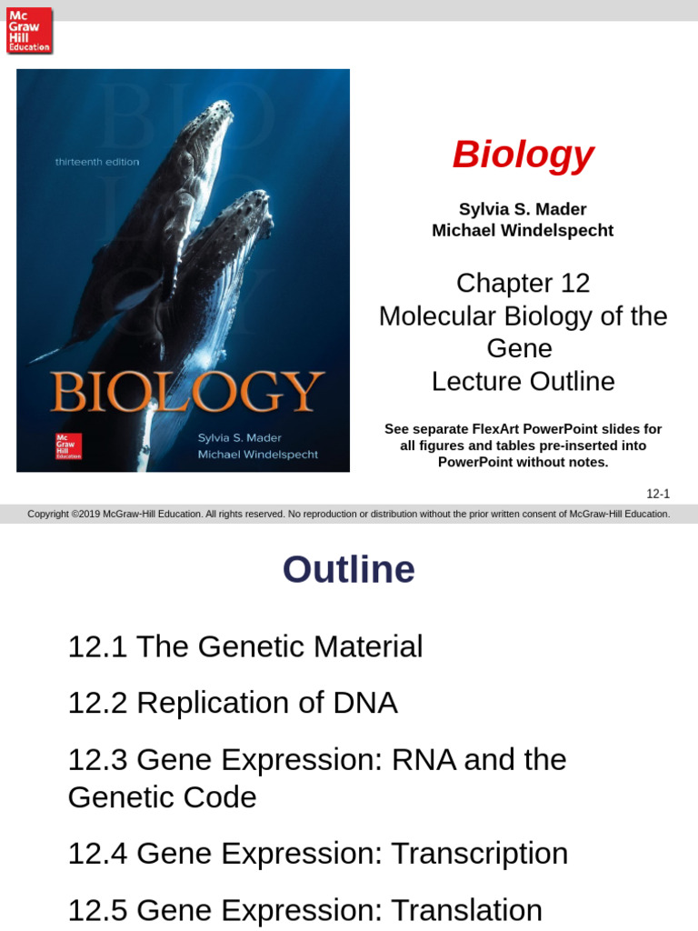 Molecular Biology of the Gene Overview | PDF | Dna Replication ...