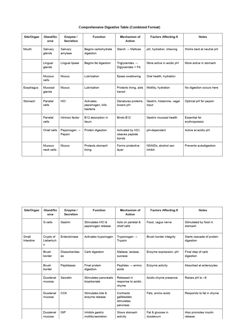 Digestive Enzymes and Their Functions | PDF | Digestion | Stomach