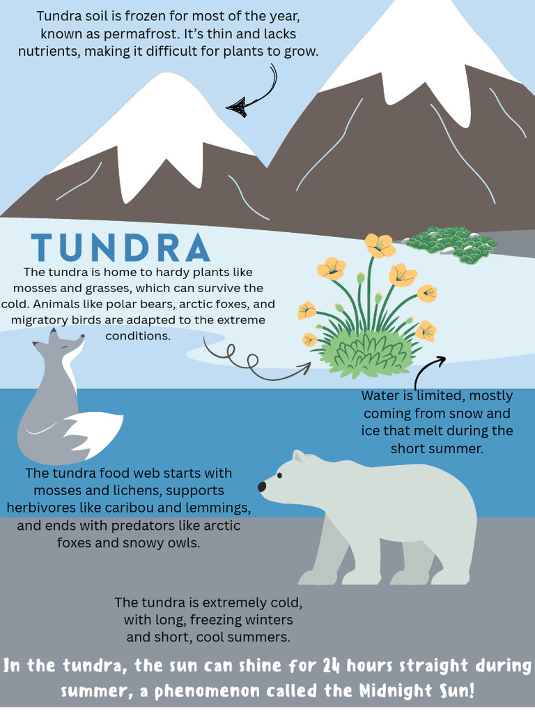 Tundra Ecosystem Overview | PDF