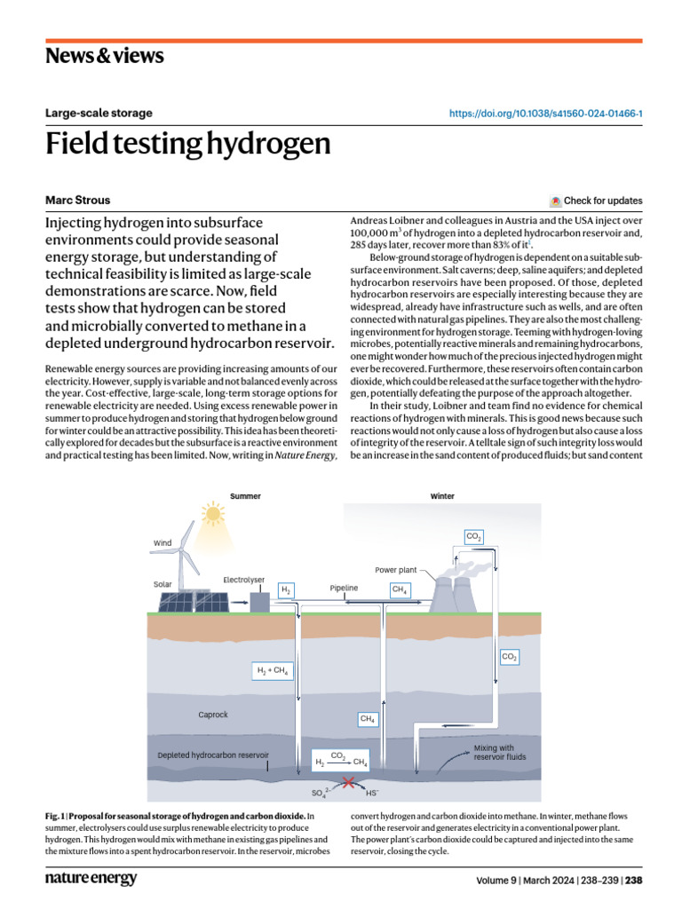 Field Testing Hydrogen Storage Solutions | PDF | Methane | Hydrogen