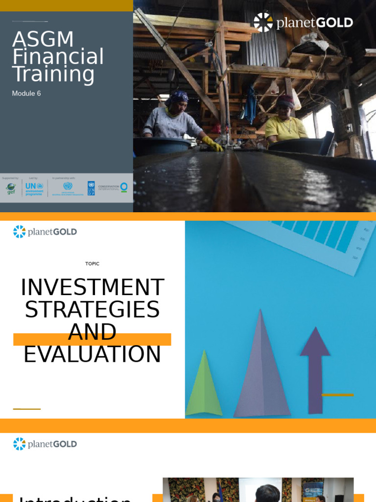 ASGM Investment Strategies Overview | PDF | Investing | Equity (Finance)