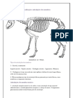 Tipos de Articulações Dos Membros