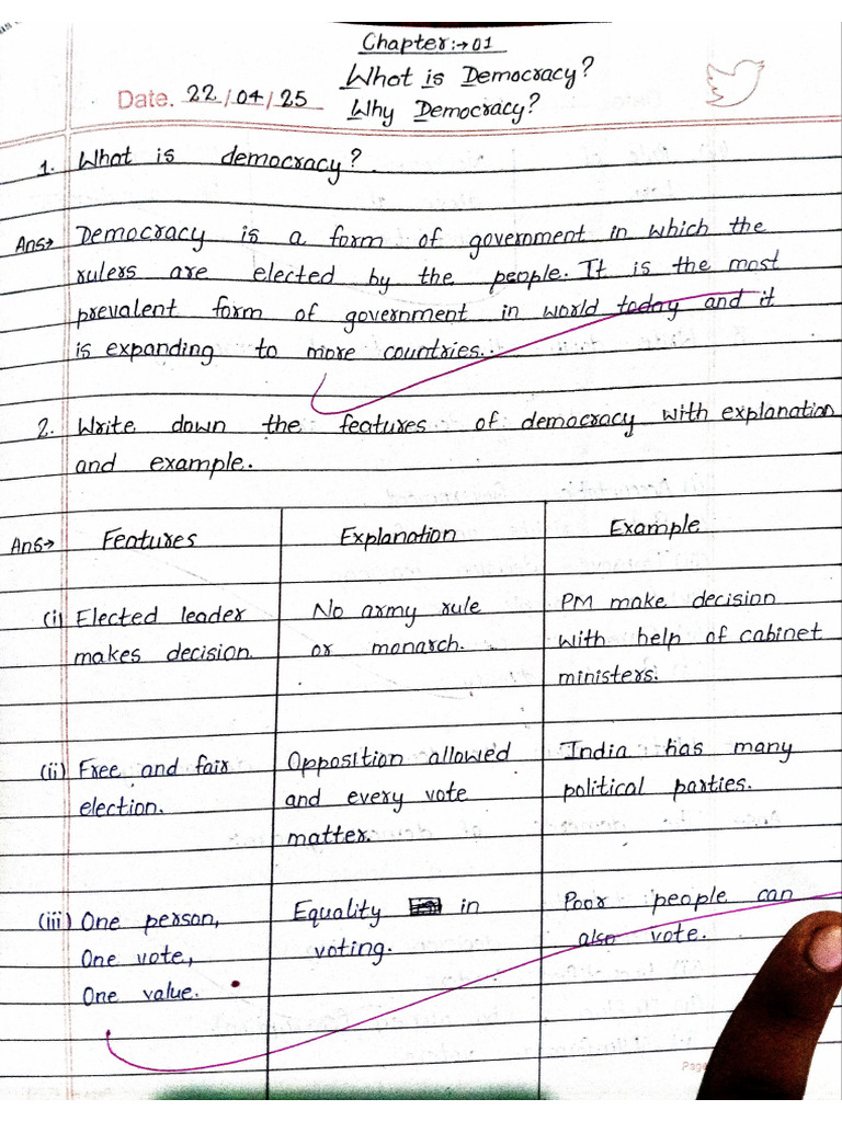 Class 9 Civics CH 1 Notes | PDF