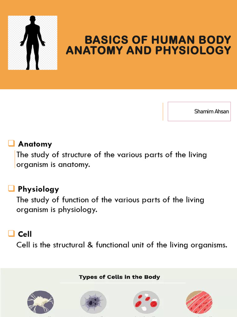 Basic Human Body, Anatomy, Physiology 2.0 | PDF | Cell (Biology ...