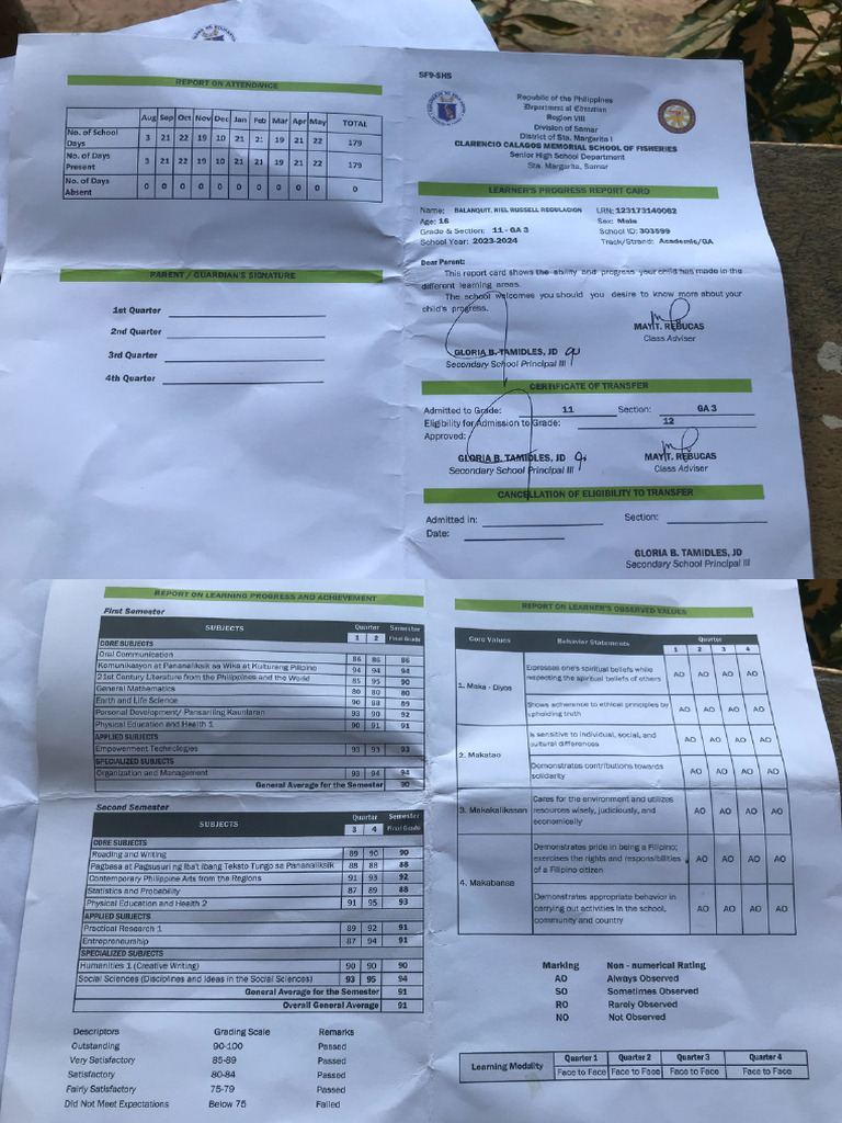 Grades | PDF