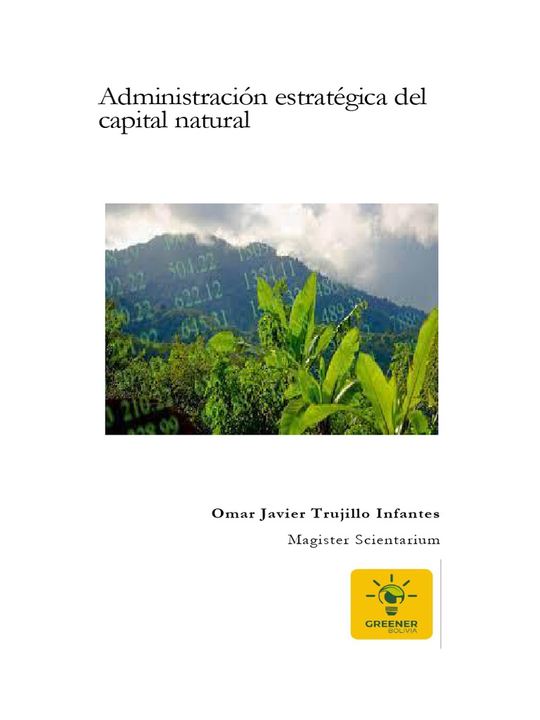 Estrategias para el Capital Natural | PDF | Energía renovable | Impuestos