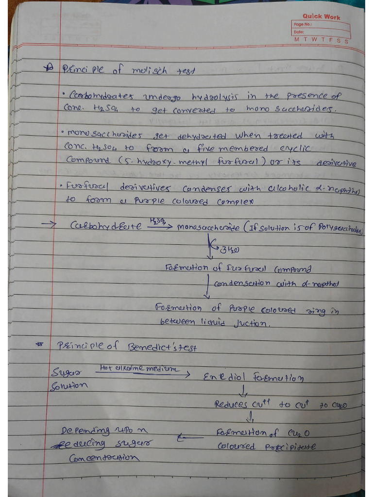 Biochemistry Prectice Notes | PDF