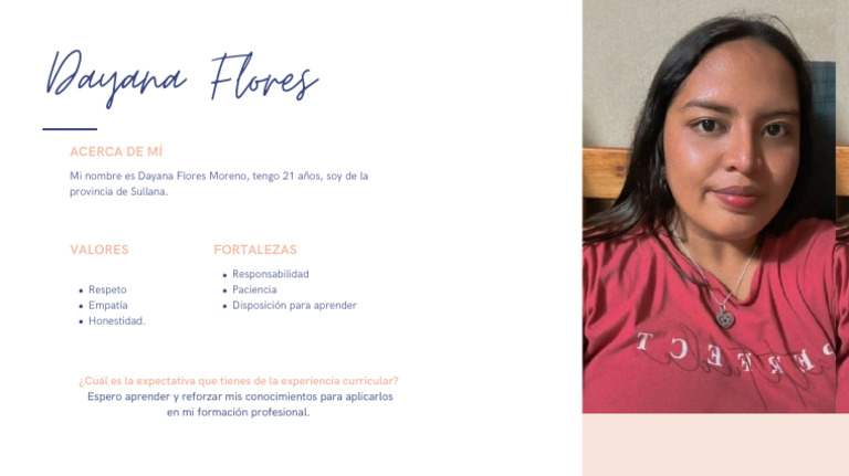Perfil Profesional de Dayana Flores | PDF